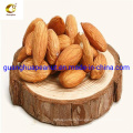 High Quality Best Taste Shelled Almond New Crop